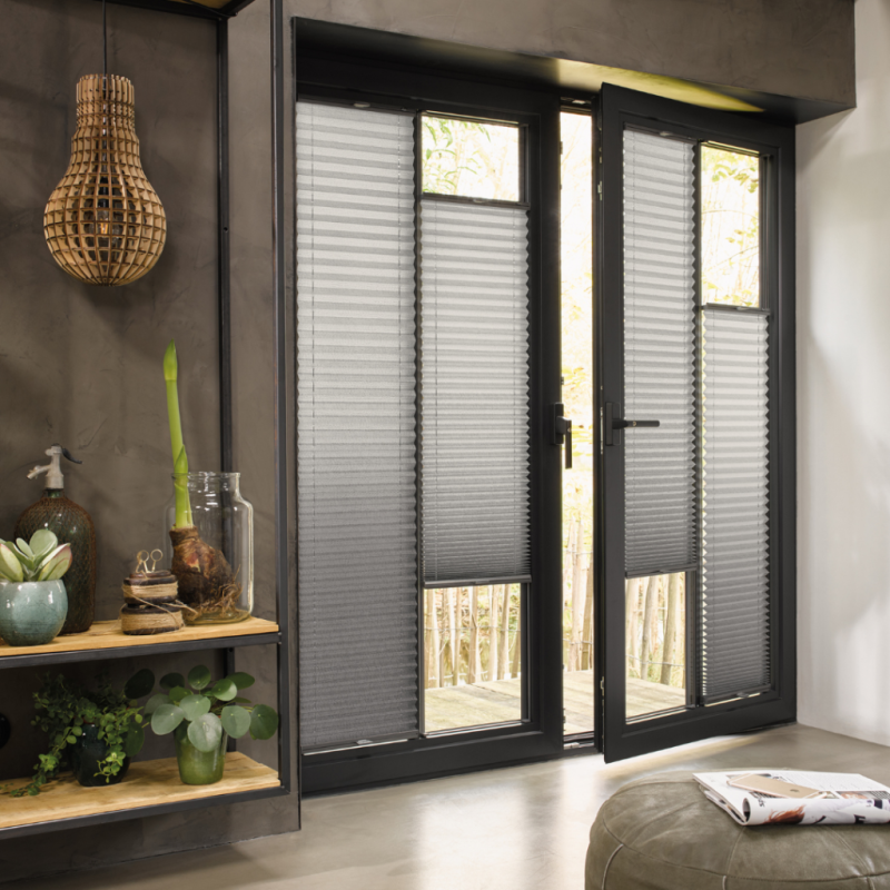 Plisuotos zaliuzes siluteje