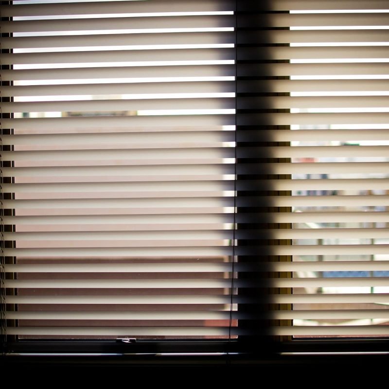 skandinavisko stiliaus zaliuzes siluteje